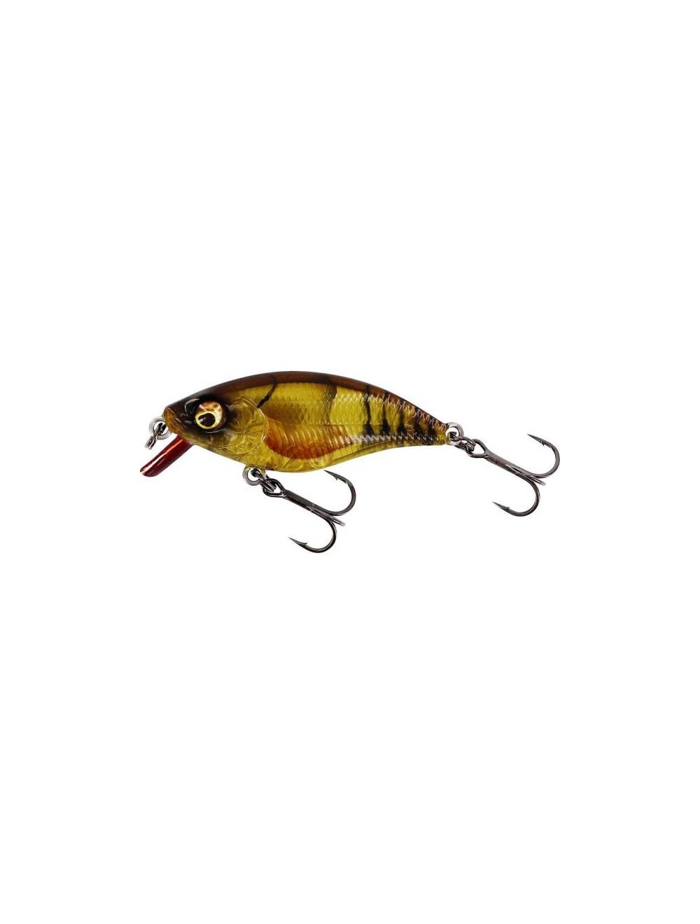  Basskiller Crankbaits Bass Lures 2.36in, Square Bill Crankbait,  Bass Fishing Lure, Floating Erratic Action Muskie Fishing Lures，3D Eyes  Fishing Gear Trout Lure for Shallow Water，Freshwater，Saltwater : Sports &  Outdoors
